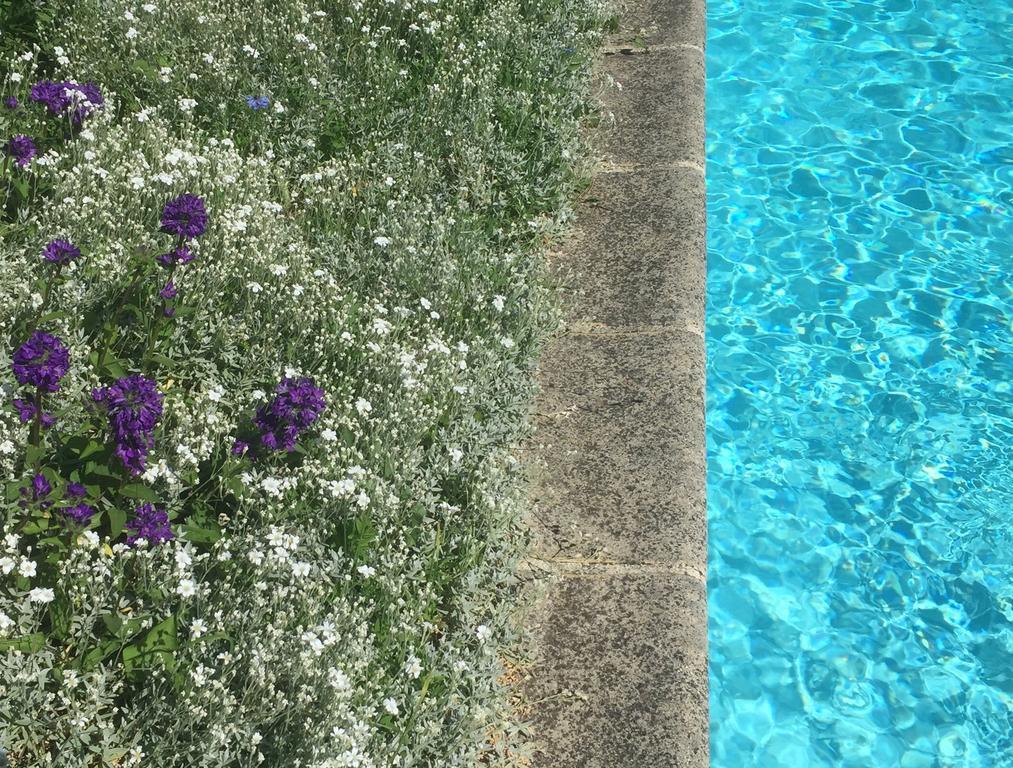 Fleurs De Vignes Piscine Montagny-lès-Beaune Exterior foto
